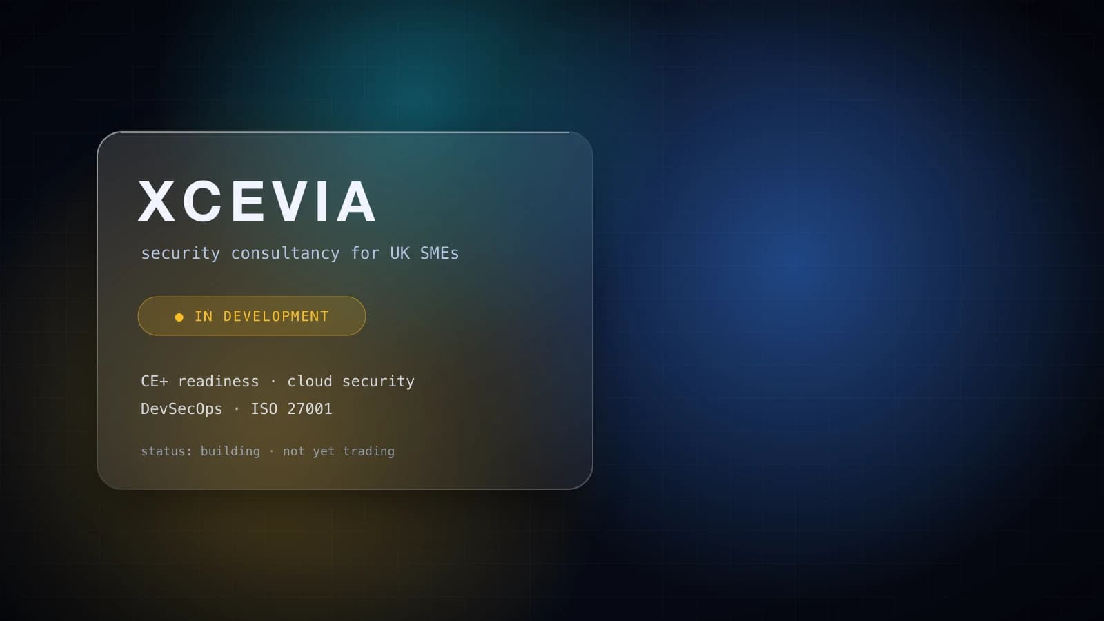 Xcevia: a security consultancy in the making